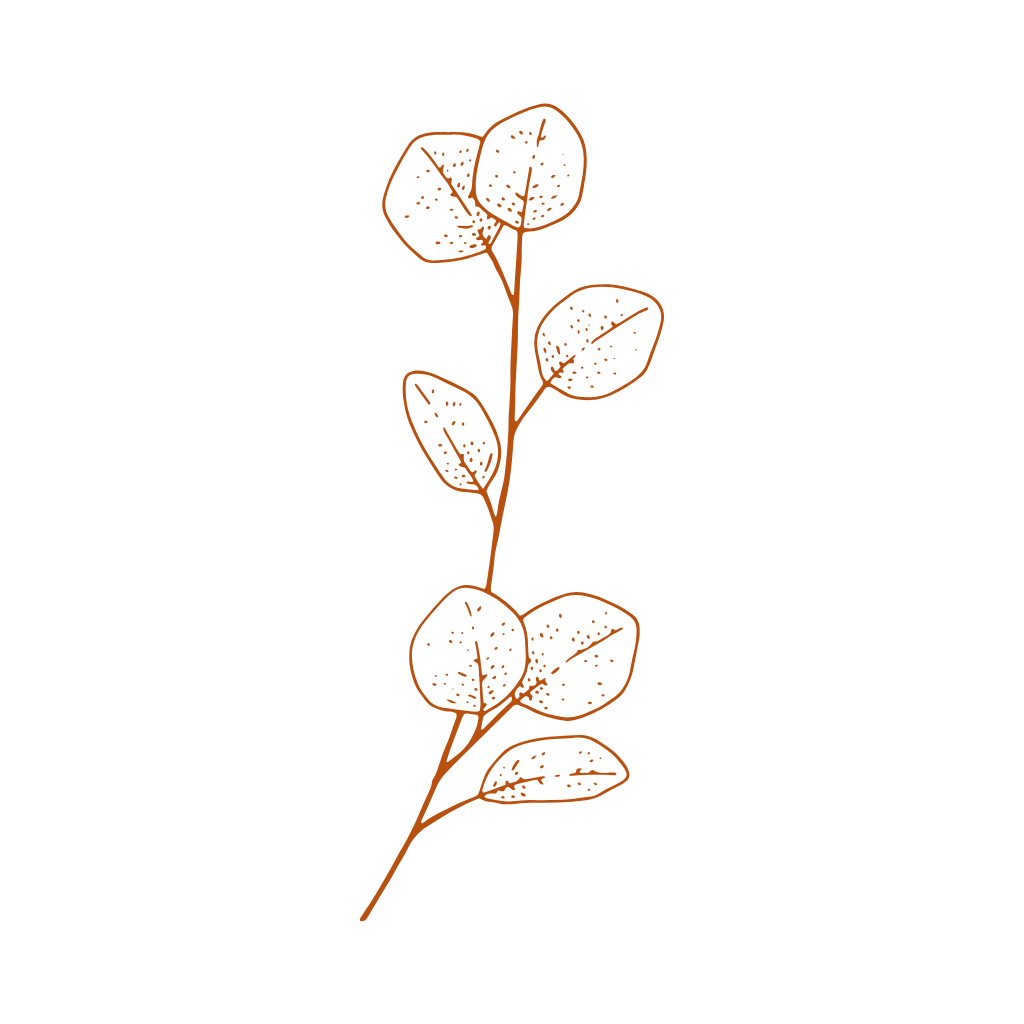 Eukalyptus